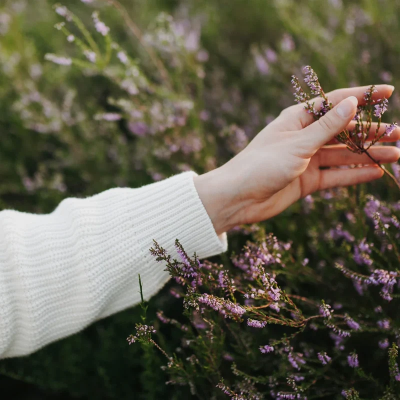 Pullover Mara Natur