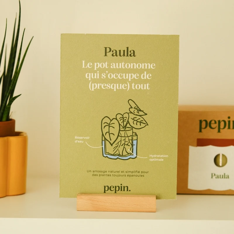 Selbstbewässernder Blumentopf Paula Pepin