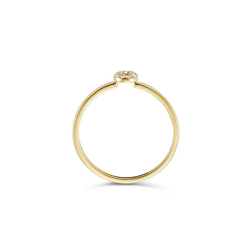 Blush damen Ring Gold 1217YZI/56