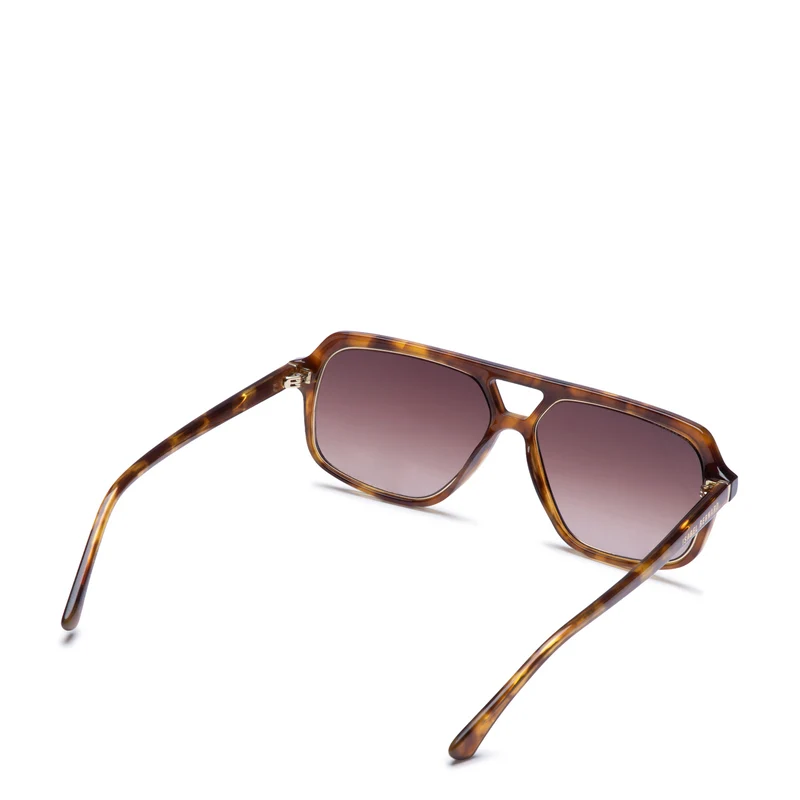Isabel Bernard La Vilette Demi Brown Sunglasses IB380009-13-14