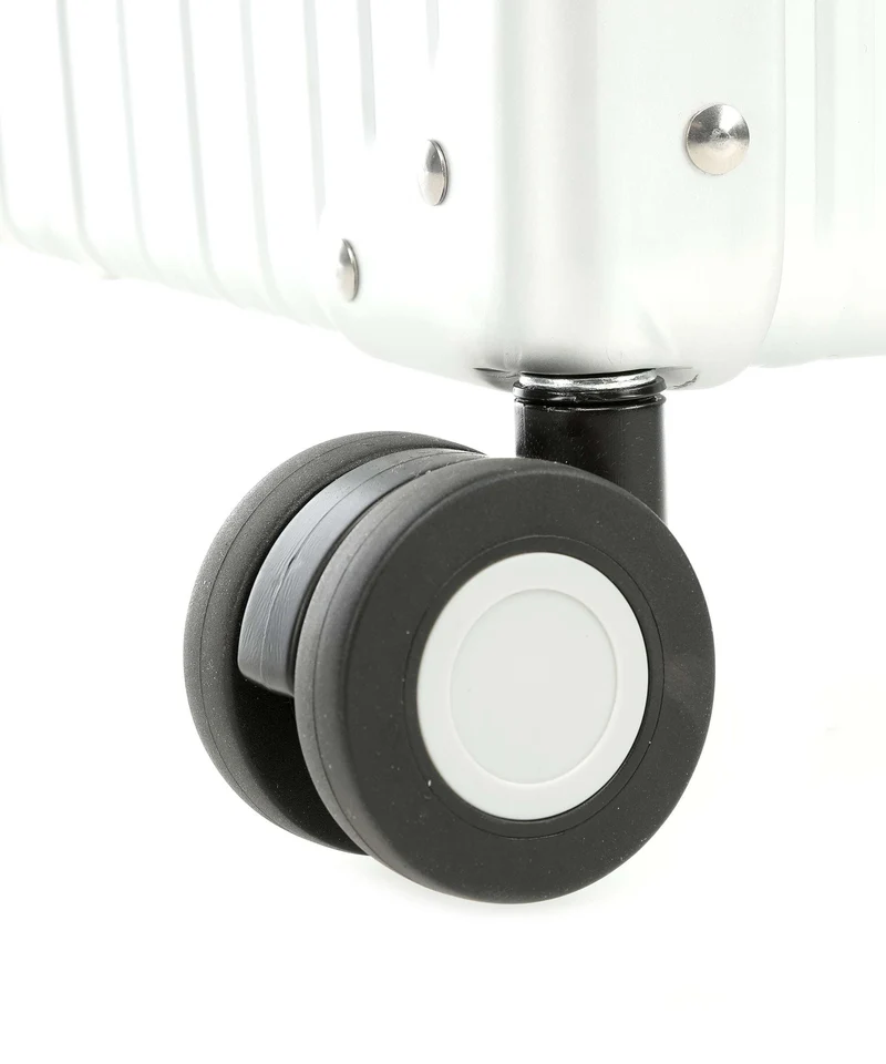 Aleon 30 Macro Traveler 4-Rollen Trolley platinum