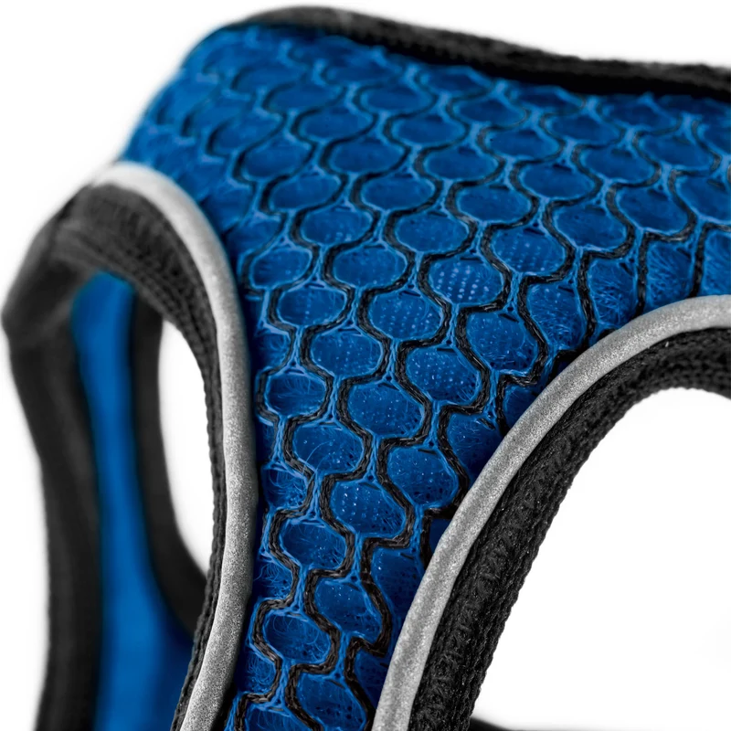 HILO Set Geschirr & Leine | blau