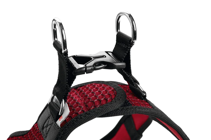 HILO Set Geschirr & Leine | rot