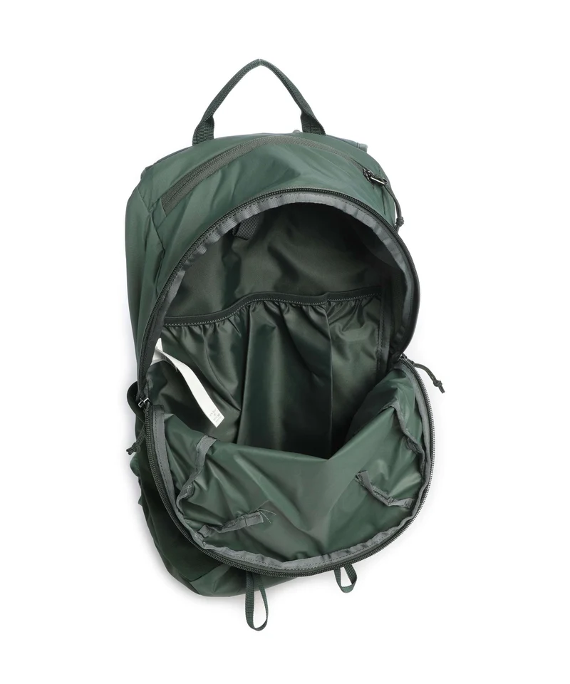 Patagonia Terravia 14 M Rucksack canopy green