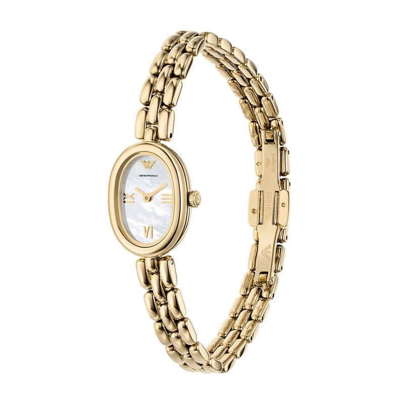 Emporio Armani Women's Watch AR11721