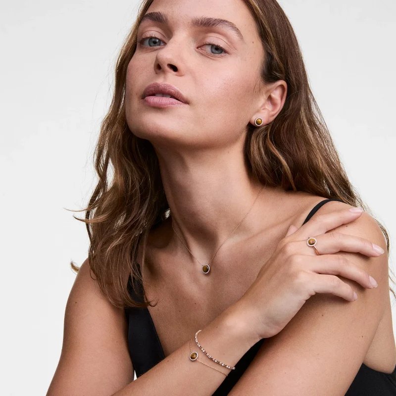Daniel Wellington Audrey Tiger Eye Ohrringe DW00401421