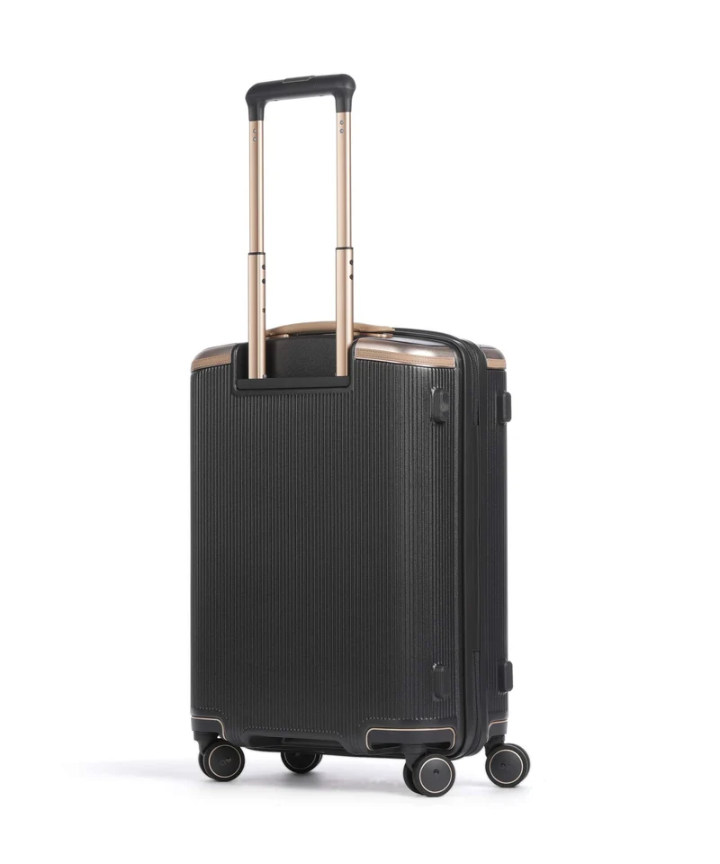 Echolac Dynasty VLX S 4-Rollen Trolley dark chocolate