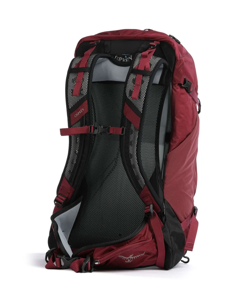 Osprey Hikelite 28 M/L Wanderrucksack chameleon/black
