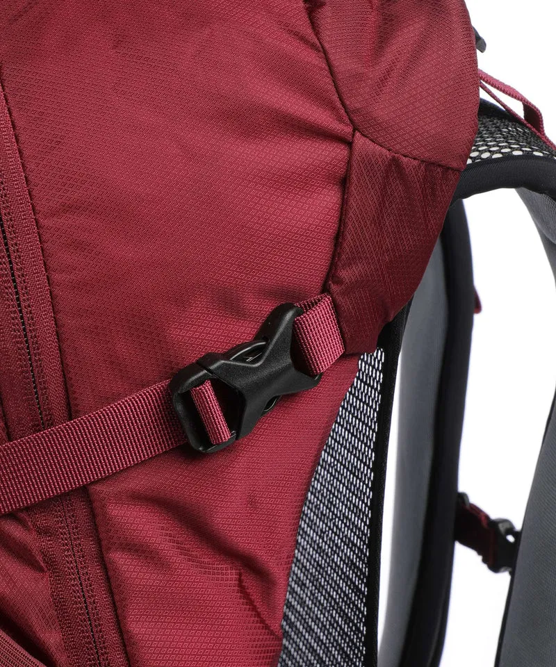 Osprey Hikelite 28 M/L Wanderrucksack chameleon/black