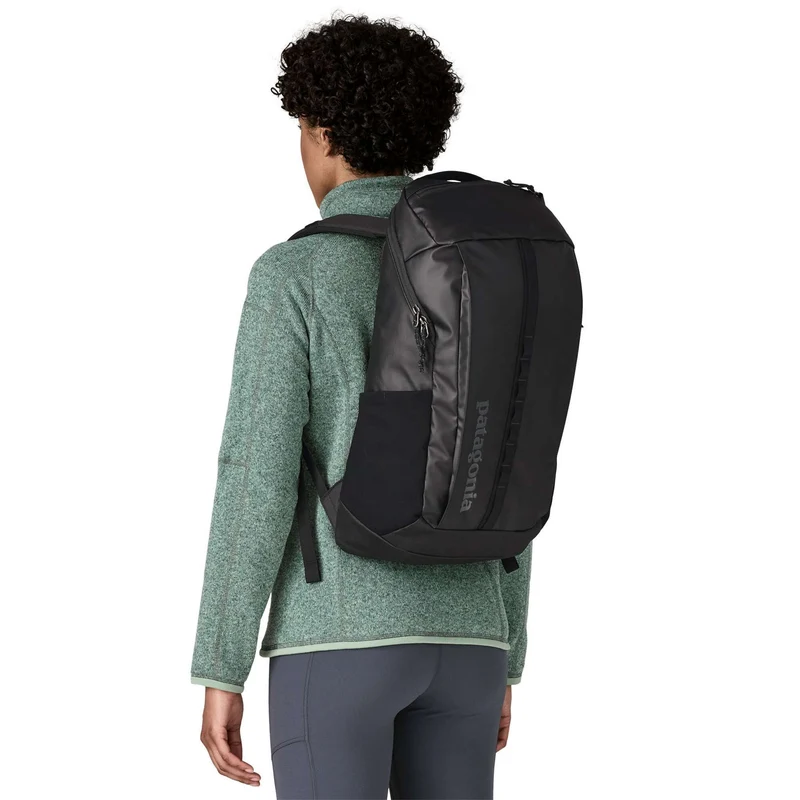 Patagonia Black Hole 25 Rucksack birch white
