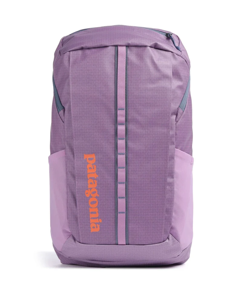 Patagonia Black Hole 25 Rucksack brisk purple