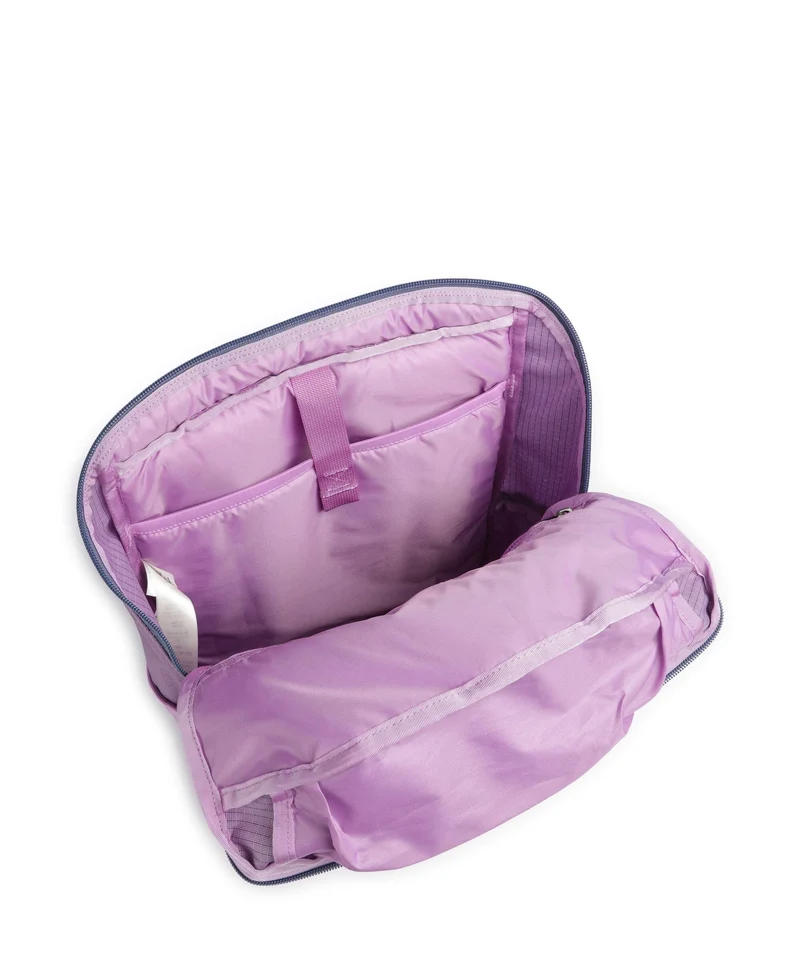 Patagonia Black Hole 25 Rucksack brisk purple