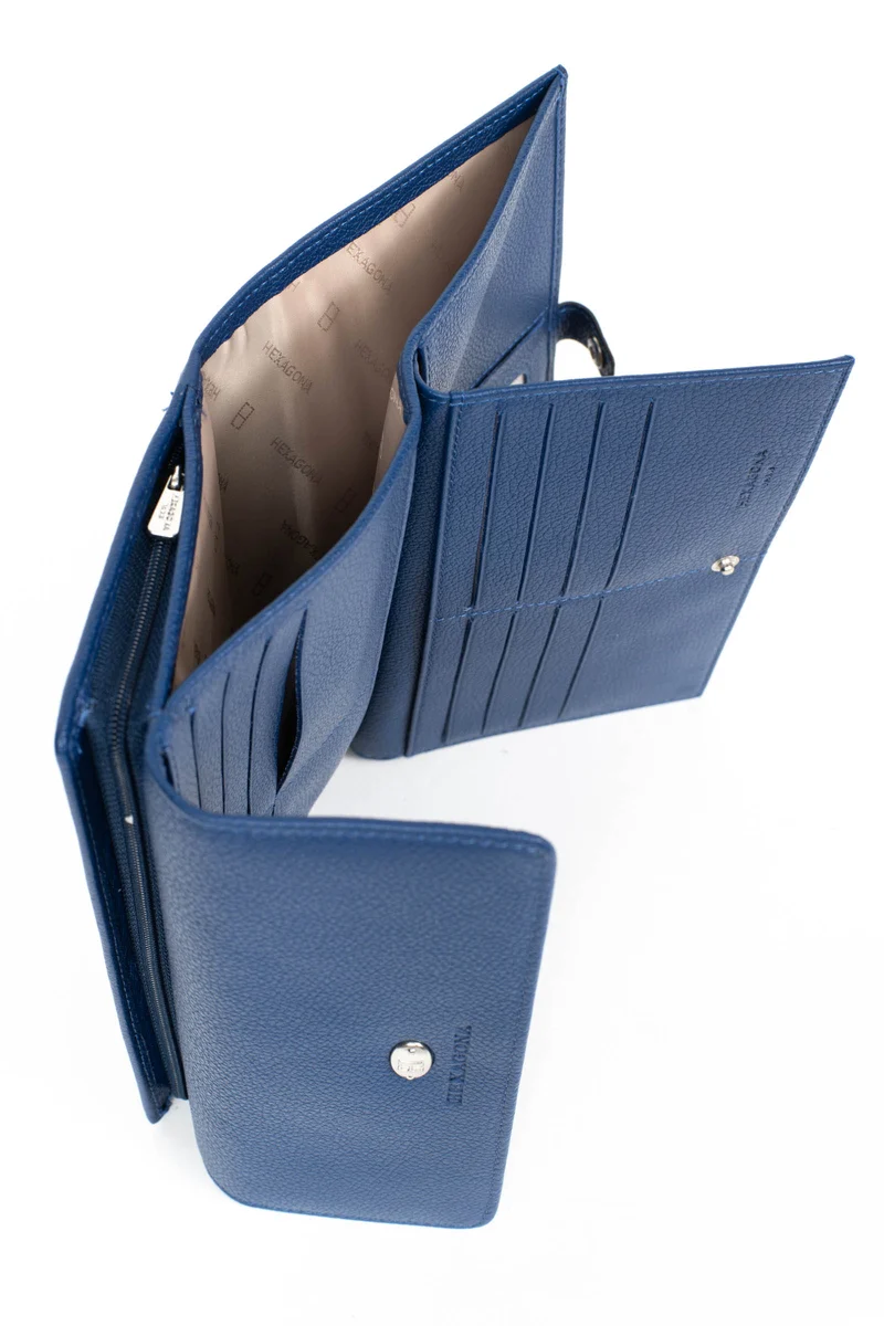 Compagnon de voyage - 2 volets - Cuir