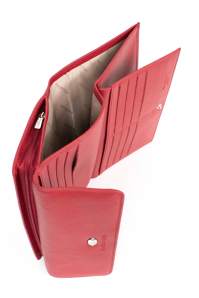 Compagnon de voyage - 2 volets - Cuir