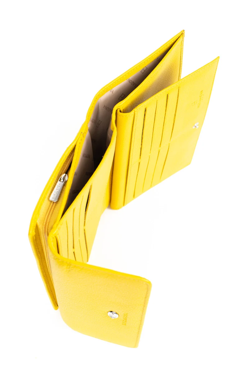 Compagnon de voyage - 2 volets - Cuir