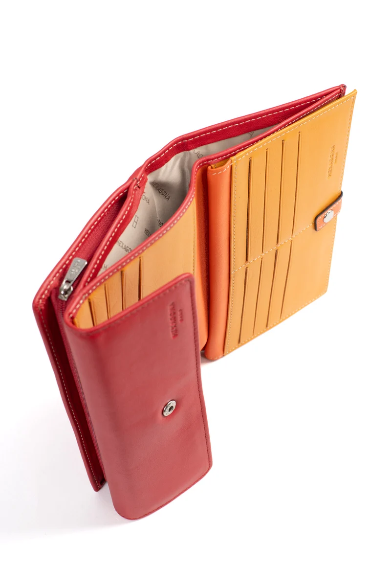 Compagnon de voyage - 2 volets - Cuir
